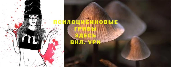 крисы Богородицк