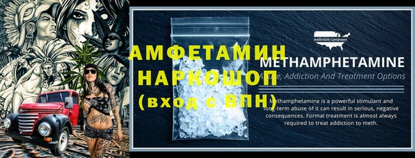крисы Богородицк