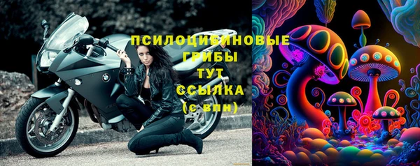 крисы Богородицк