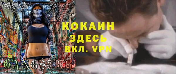 крисы Богородицк