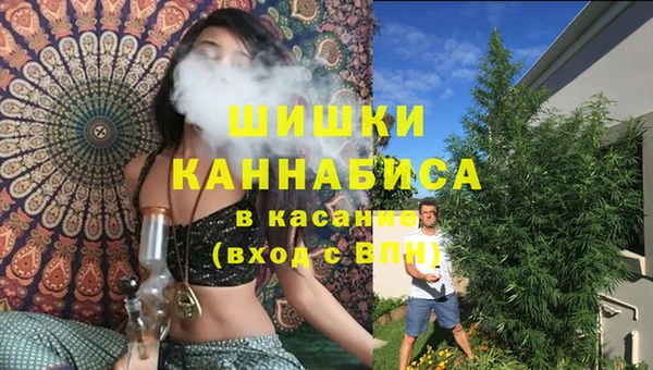 крисы Богородицк