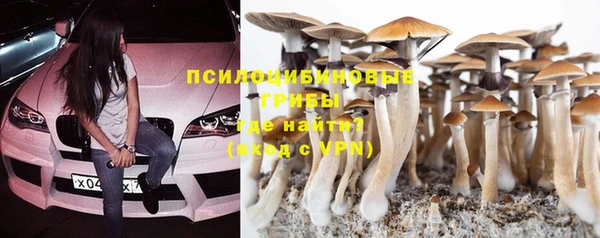 синтетический гашиш Богданович