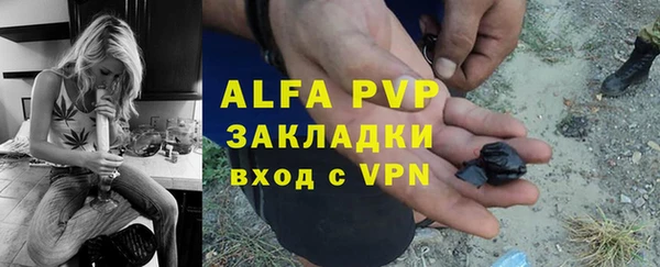 крисы Богородицк